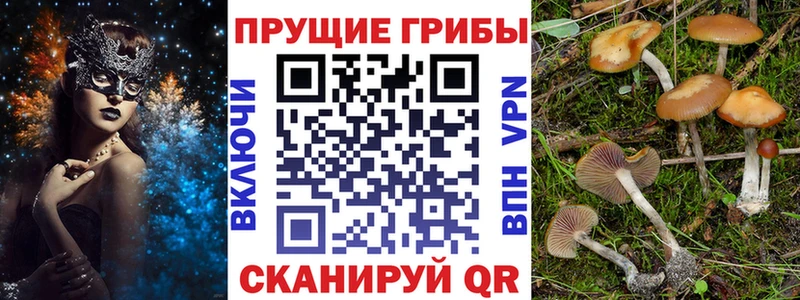 купить наркотик  Кирс  это клад  Галлюциногенные грибы мицелий 